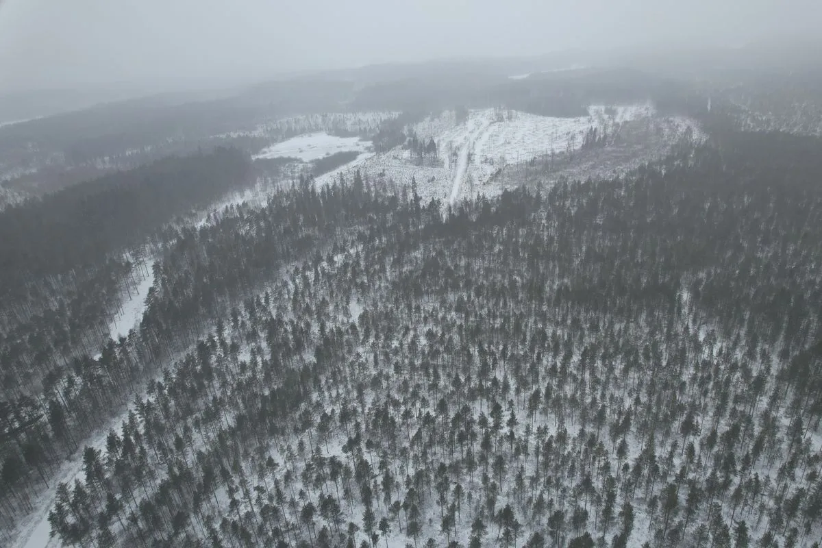 Parc solaire Hallanvahti